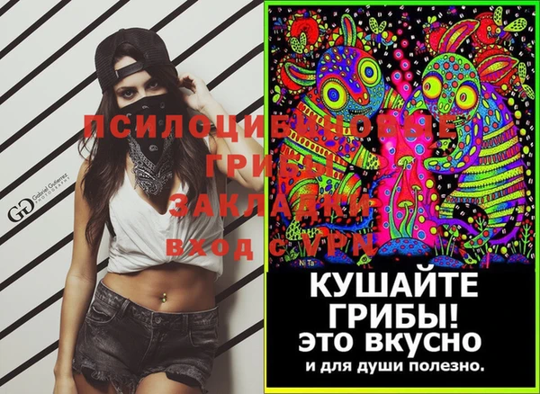 ешки Алзамай