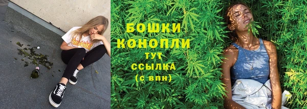 молекула духа Сатка
