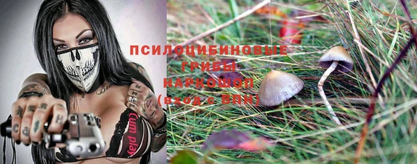 ешки Алзамай