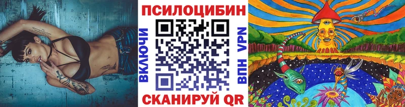 Галлюциногенные грибы Psilocybine cubensis  Верхняя Тура 